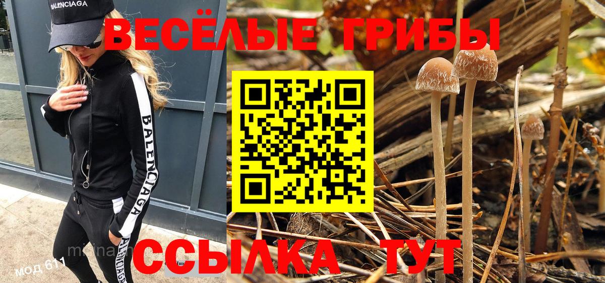 Псилоцибиновые грибы MAGIC MUSHROOMS  Вход с VPN  Кыштым 
